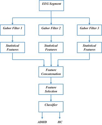 Gabor filter-based statistical features for ADHD detection